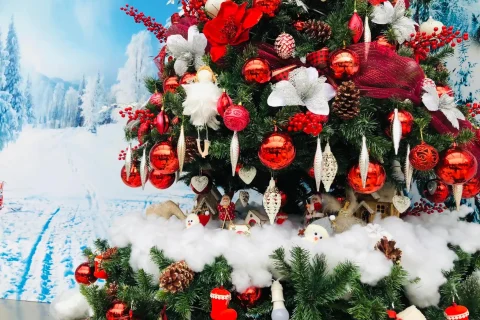 6089620c-82c9-4708-8ff6-462f567b8488