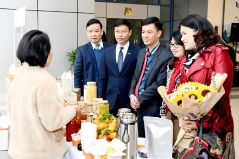 97012817-321e-4fc0-9d6e-09f1ad396d54