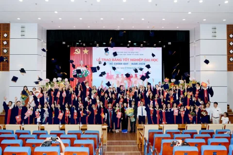 bfaae0ee-fc1b-43ae-b2ff-08729110cf0b