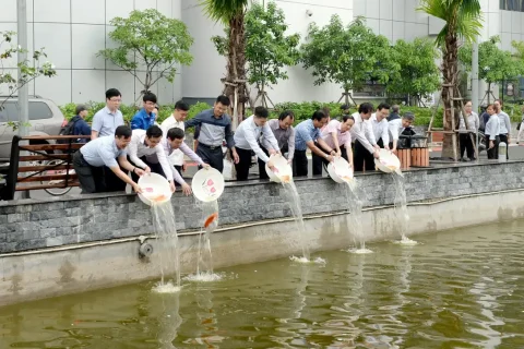 c7064e22-4ecc-417a-816e-56184eac1601