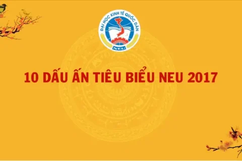 c80e2d7a-8d38-41ef-afd9-155dc3c27a0a