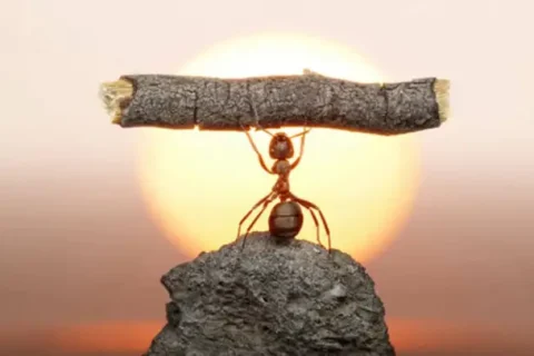 cc9ff868-c252-4ba8-bc6f-daf82af4457f