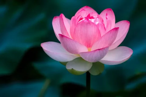 da64eaf0-5a69-42b5-952e-6e71d287c35f