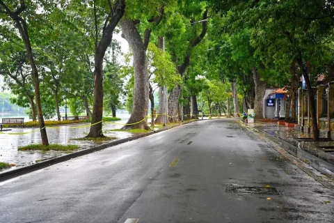 12b95399-85a2-44b3-b31d-5159c2699b95