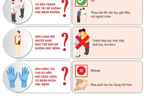 2e1ded1d-0467-43cc-8912-e034245383d8