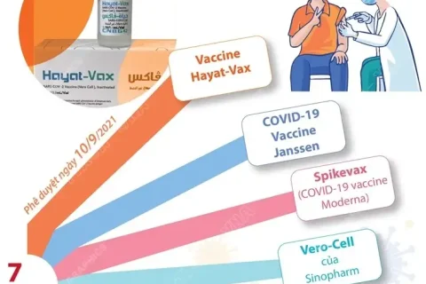 3a09066c-1a6c-4b30-9c2e-ecefe3cd6d1a