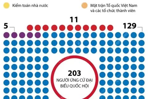 442a5ee1-d4ee-471a-b38b-2edd918fe6ef