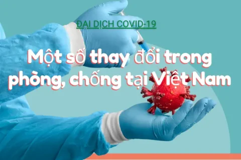 55cfd998-8277-4771-aec4-a988e87b2648