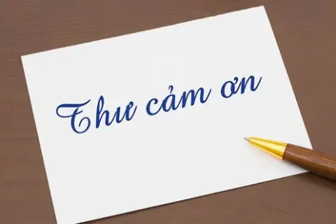 668ffb46-cea5-46ba-9b3c-d7f6da9c16b4