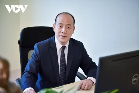 7b2dbbd2-d5ee-4bc5-a5a9-32887c383b07