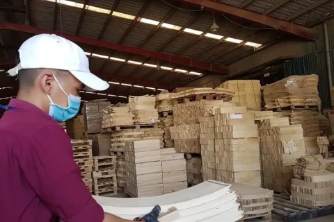 86dae4b2-532a-4dc5-b056-90195674c403