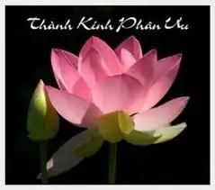 86fae867-ae76-449a-beb9-c079f7a202bb