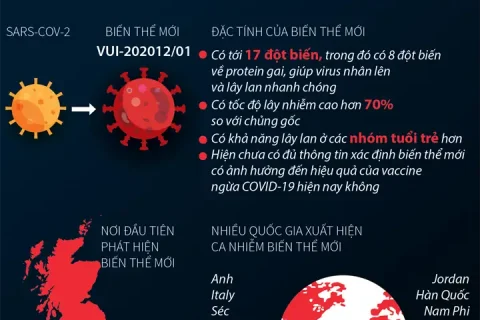 8897c0a0-7e49-4276-816f-3559c6106025