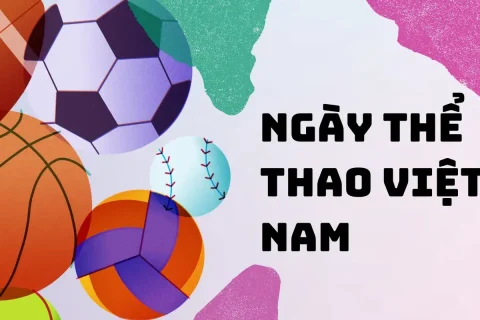 91f6e84b-6097-481b-bd04-2c77677ef013