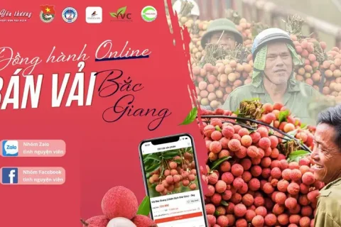 a47a1b7e-daf7-43d6-8aee-b5cf155da05c