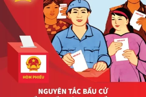 afd5113f-2f11-4529-b279-91054e3b5b59