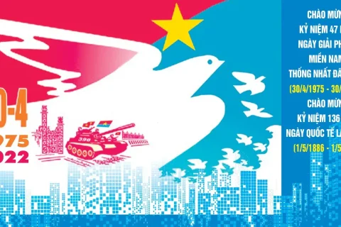 d019e95d-c1aa-48d8-9562-20fc800feae1