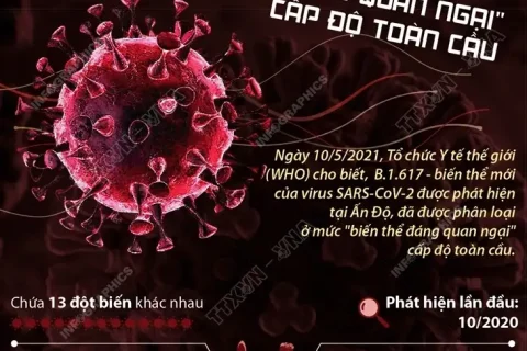 e3bf742e-c54a-41a9-8f0f-17662e39f036