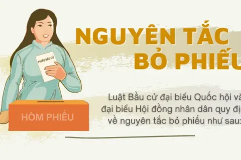 f2a1ebc8-0f7d-4d7f-b0f5-67dc36c25282