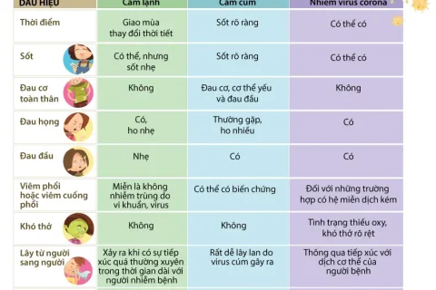 fef89305-d0ca-4c59-9390-cd8b7cafd9e4