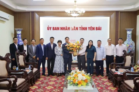 8fbdad47 B6e4 4187 Aac9 Ae7cbed40ef1