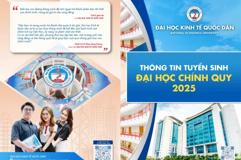 Bf139b24 5160 4dc9 Bf84 9d69b552a28f