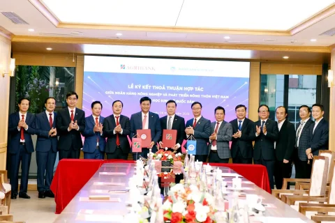 Dbef708c Db0e 435f A51b 4d552734a353